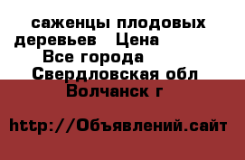 саженцы плодовых деревьев › Цена ­ 6 080 - Все города  »    . Свердловская обл.,Волчанск г.